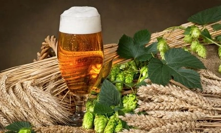 精酿啤酒厂告诉你怎样从外观检查发酵情况