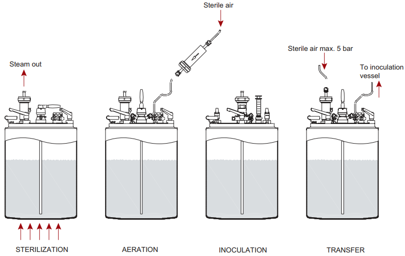 啤酒厂的酵母扩培工艺