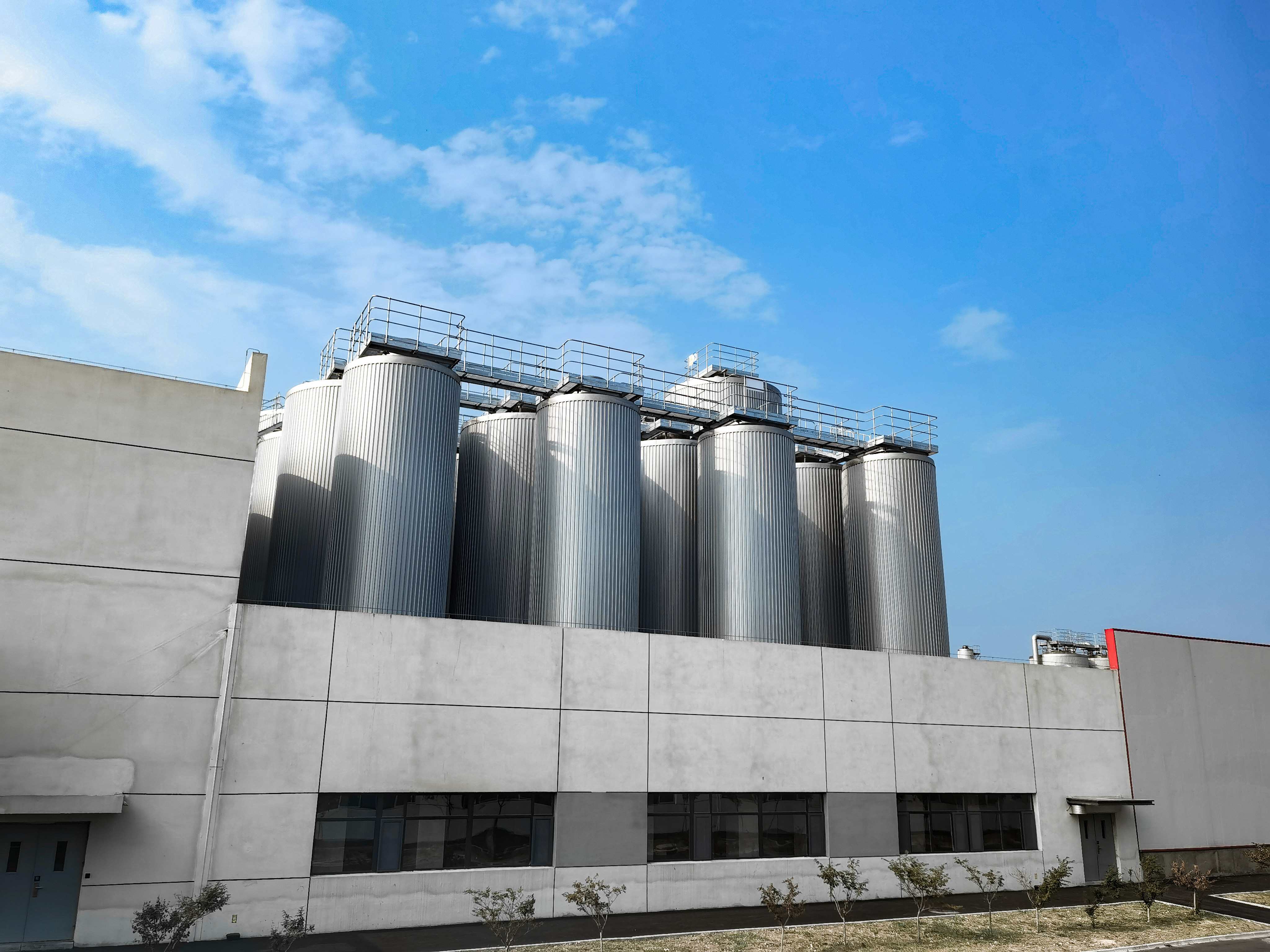 购买精酿啤酒时应该注意什么？